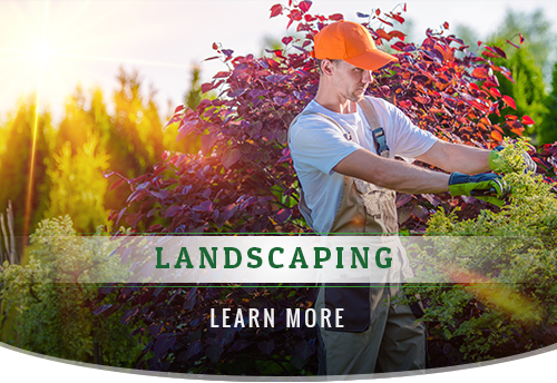 Arnoldos Tree Service, Landscaping And Tree Removal